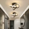 cn-11134207-7r98o-lzh0cle68d4j49.webp Modern LED Decorative Ceiling Light Living Room Bedroom